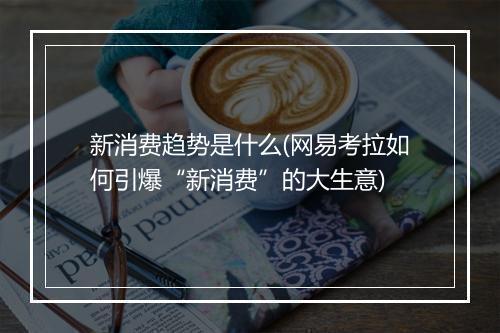 新消费趋势是什么(网易考拉如何引爆“新消费”的大生意)