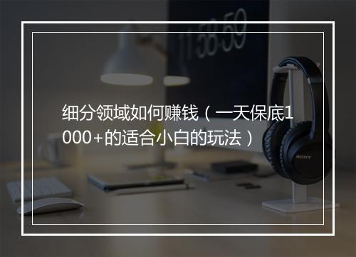 细分领域如何赚钱（一天保底1000+的适合小白的玩法）