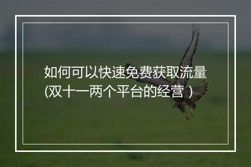 如何可以快速免费获取流量(双十一两个平台的经营）