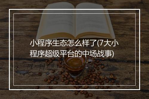 小程序生态怎么样了(7大小程序超级平台的中场战事)