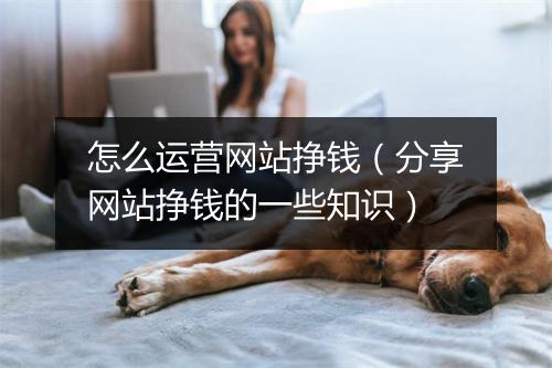 怎么运营网站挣钱（分享网站挣钱的一些知识）