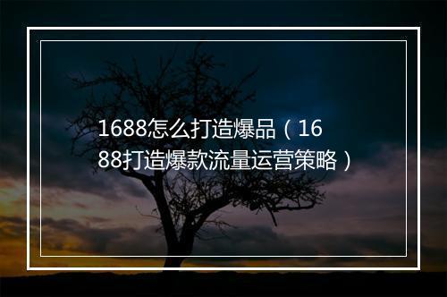 1688怎么打造爆品（1688打造爆款流量运营策略）