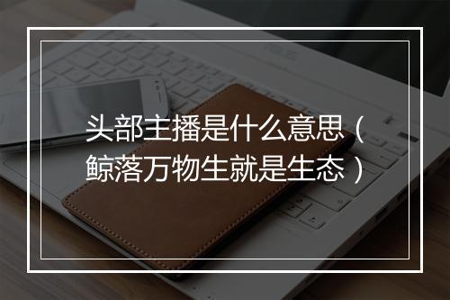 头部主播是什么意思（鲸落万物生就是生态）
