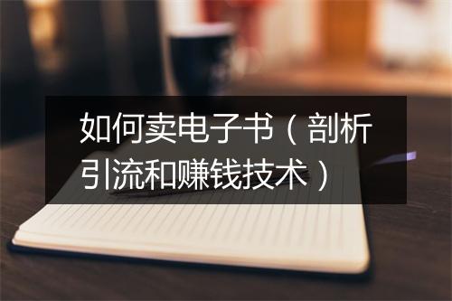 如何卖电子书（剖析引流和赚钱技术）