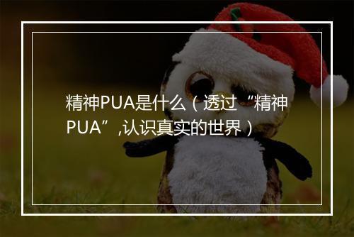 精神PUA是什么（透过“精神PUA”,认识真实的世界）