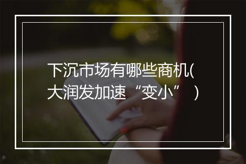 下沉市场有哪些商机(大润发加速“变小”）