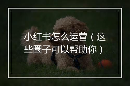 小红书怎么运营（这些圈子可以帮助你）