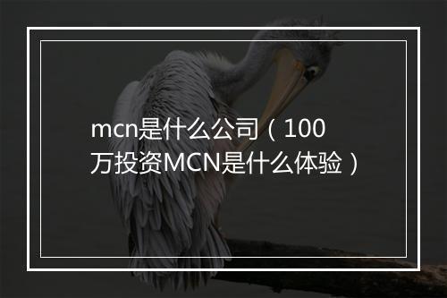 mcn是什么公司（100万投资MCN是什么体验）