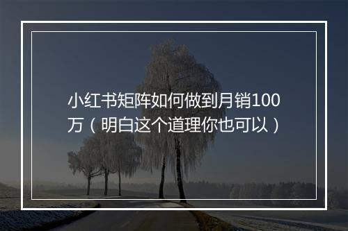 小红书矩阵如何做到月销100万（明白这个道理你也可以）