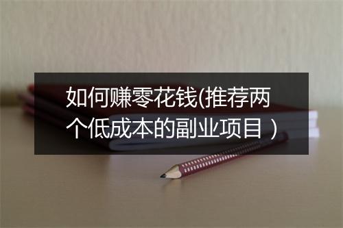 如何赚零花钱(推荐两个低成本的副业项目）
