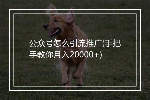 公众号怎么引流推广(手把手教你月入20000+)