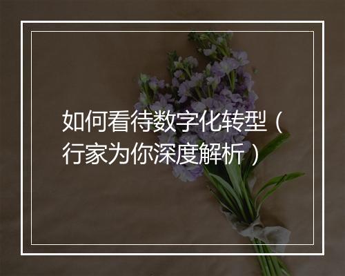 如何看待数字化转型（行家为你深度解析）