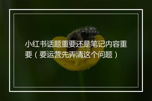 小红书话题重要还是笔记内容重要（要运营先弄清这个问题）