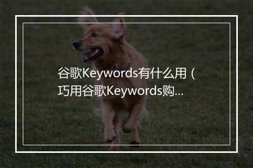谷歌Keywords有什么用（巧用谷歌Keywords购物季销量翻倍）