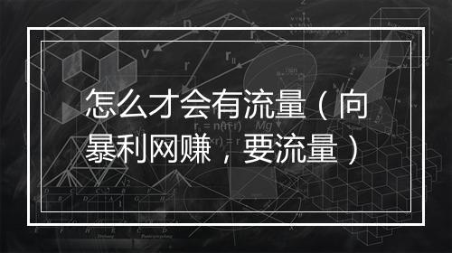 怎么才会有流量（向暴利网赚，要流量）