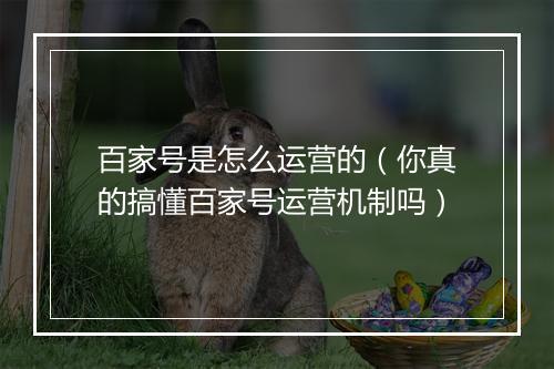 百家号是怎么运营的（你真的搞懂百家号运营机制吗）