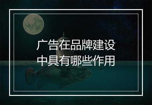 广告在品牌建设中具有哪些作用