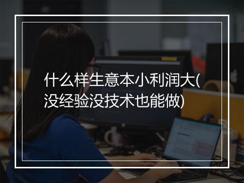 什么样生意本小利润大(没经验没技术也能做)