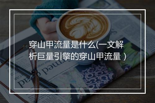 穿山甲流量是什么(一文解析巨量引擎的穿山甲流量）