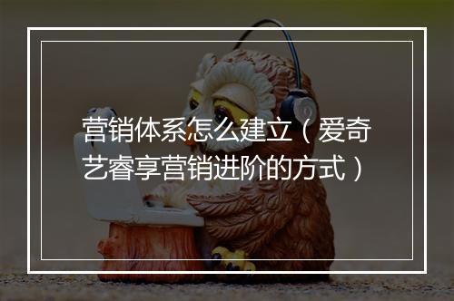 营销体系怎么建立（爱奇艺睿享营销进阶的方式）