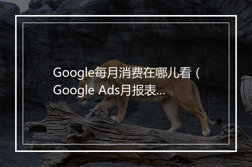 Google每月消费在哪儿看（Google Ads月报表向Excel说再见）