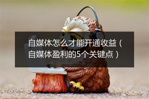 自媒体怎么才能开通收益（自媒体盈利的5个关键点）
