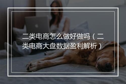 二类电商怎么做好做吗（二类电商大盘数据盈利解析）