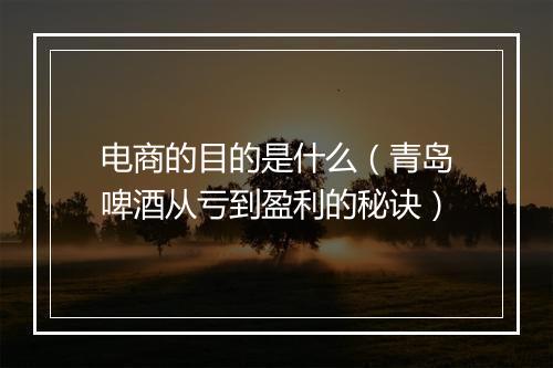 电商的目的是什么（青岛啤酒从亏到盈利的秘诀）