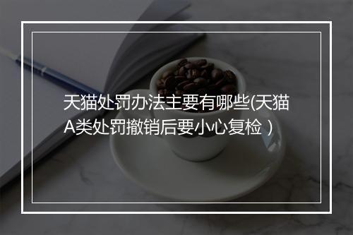 天猫处罚办法主要有哪些(天猫A类处罚撤销后要小心复检）