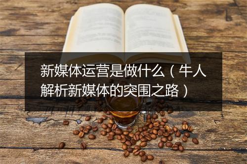 新媒体运营是做什么（牛人解析新媒体的突围之路）