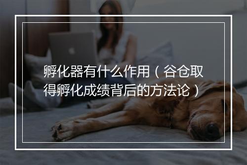 孵化器有什么作用（谷仓取得孵化成绩背后的方法论）