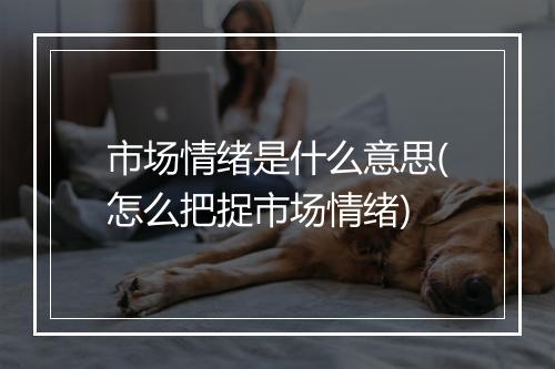 市场情绪是什么意思(怎么把捉市场情绪)