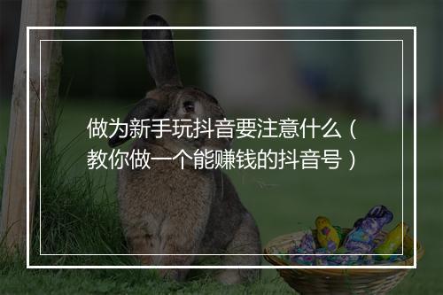 做为新手玩抖音要注意什么（教你做一个能赚钱的抖音号）