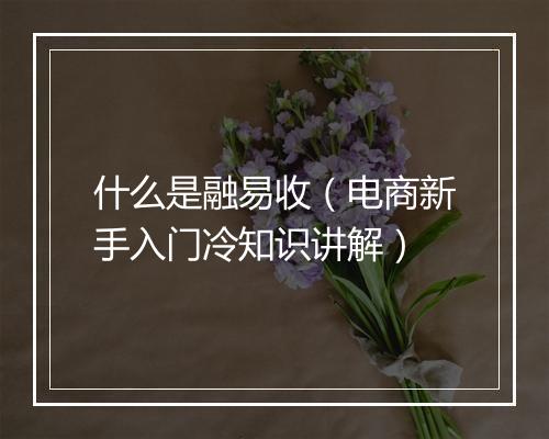 什么是融易收（电商新手入门冷知识讲解）