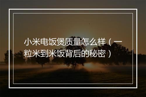 小米电饭煲质量怎么样（一粒米到米饭背后的秘密）