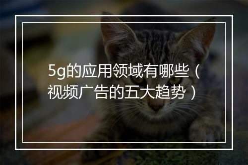 5g的应用领域有哪些（视频广告的五大趋势）