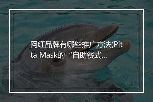 网红品牌有哪些推广方法(Pitta Mask的“自助餐式”营销)