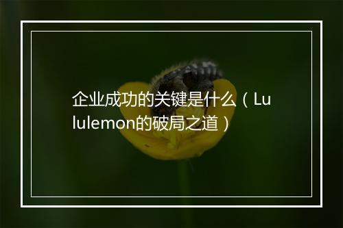 企业成功的关键是什么（Lululemon的破局之道）