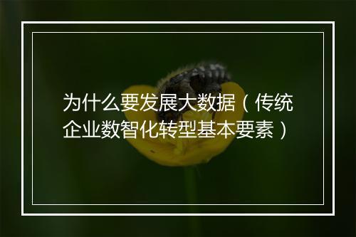 为什么要发展大数据（传统企业数智化转型基本要素）