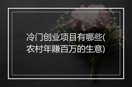 冷门创业项目有哪些(农村年赚百万的生意)