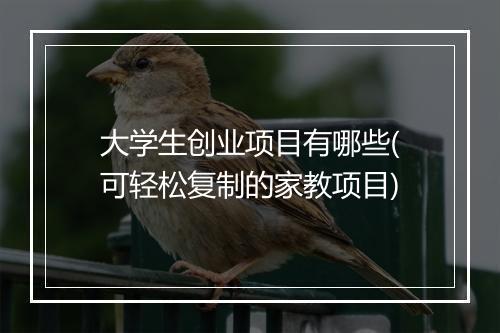 大学生创业项目有哪些(可轻松复制的家教项目)