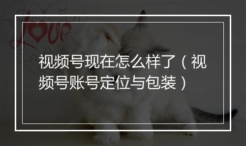 视频号现在怎么样了（视频号账号定位与包装）