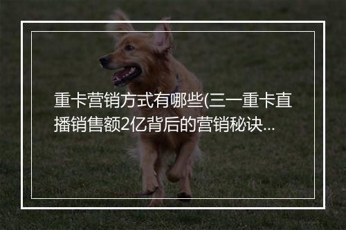 重卡营销方式有哪些(三一重卡直播销售额2亿背后的营销秘诀)