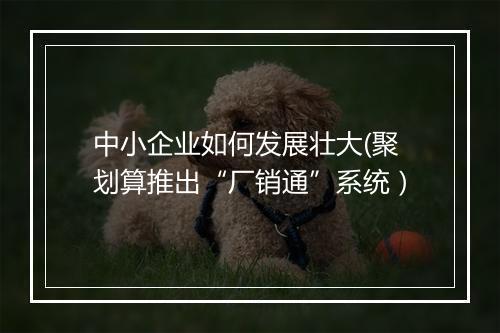 中小企业如何发展壮大(聚划算推出“厂销通”系统）