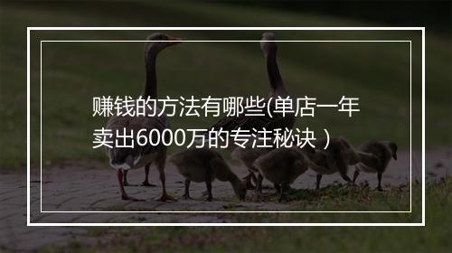 赚钱的方法有哪些(单店一年卖出6000万的专注秘诀）
