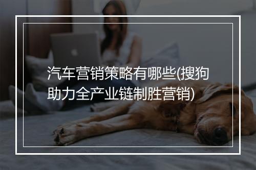 汽车营销策略有哪些(搜狗助力全产业链制胜营销)
