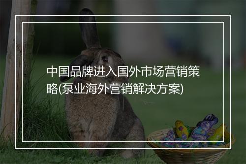 中国品牌进入国外市场营销策略(泵业海外营销解决方案)