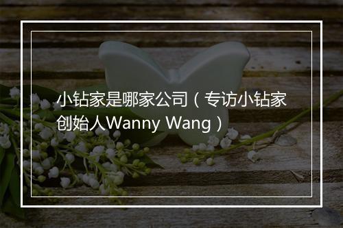 小钻家是哪家公司（专访小钻家创始人Wanny Wang）