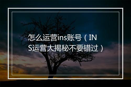 怎么运营ins账号（INS运营大揭秘不要错过）