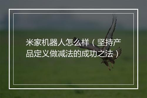 米家机器人怎么样（坚持产品定义做减法的成功之法）